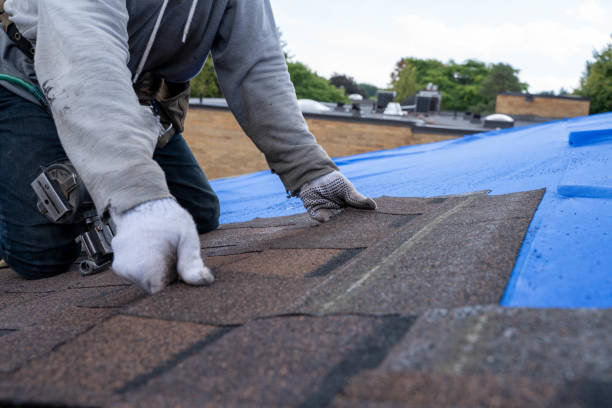 Best Roof Maintenance Services  in University City, MO